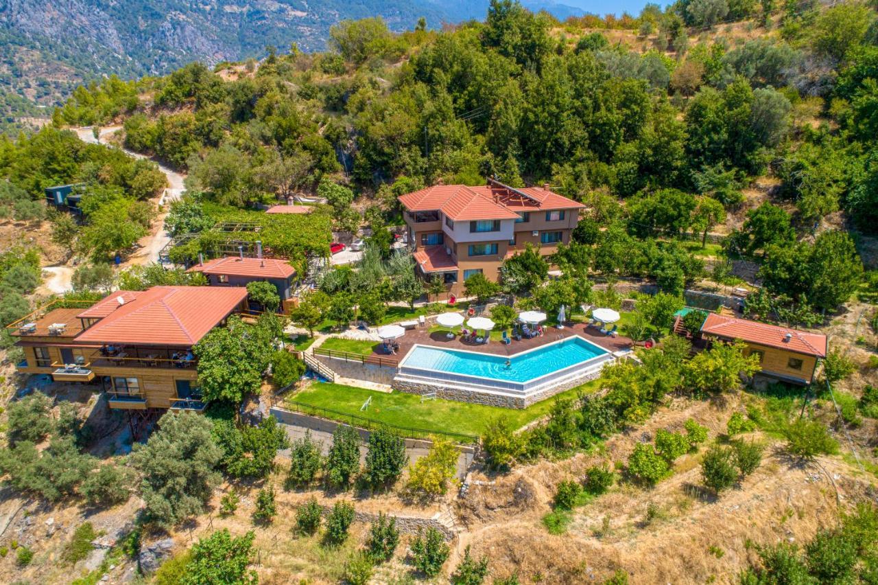 אלאניה Avena Mountain Hotel - Adults Only מראה חיצוני תמונה